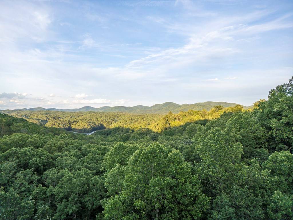 Blue Ridge, GA 50513,66 Forest Trail