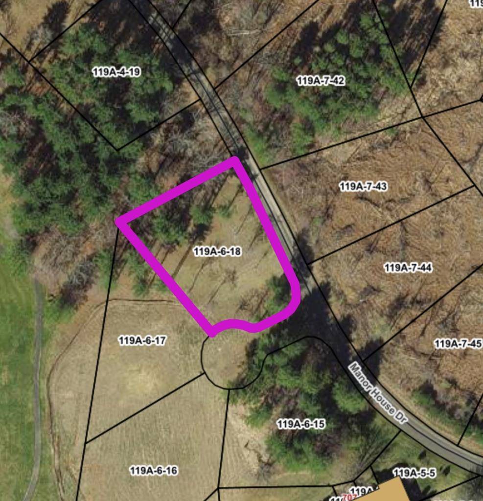 Laurel Fork, VA 24352,TBD Manor House Dr