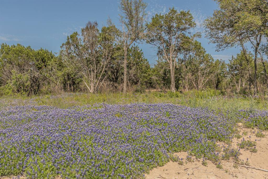 Nemo, TX 76070,1022 Cedar Hill Drive