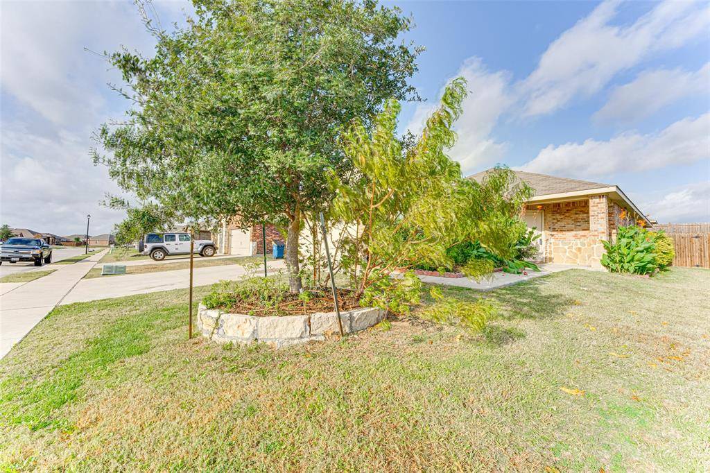 Josephine, TX 75189,517 Milo Way