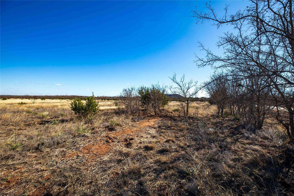 Tuscola, TX 79562,TBD CR 250