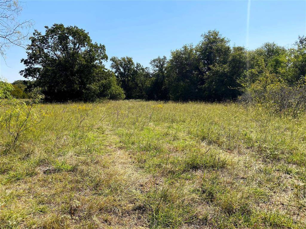 Chico, TX 76431,15 acres CR-1650