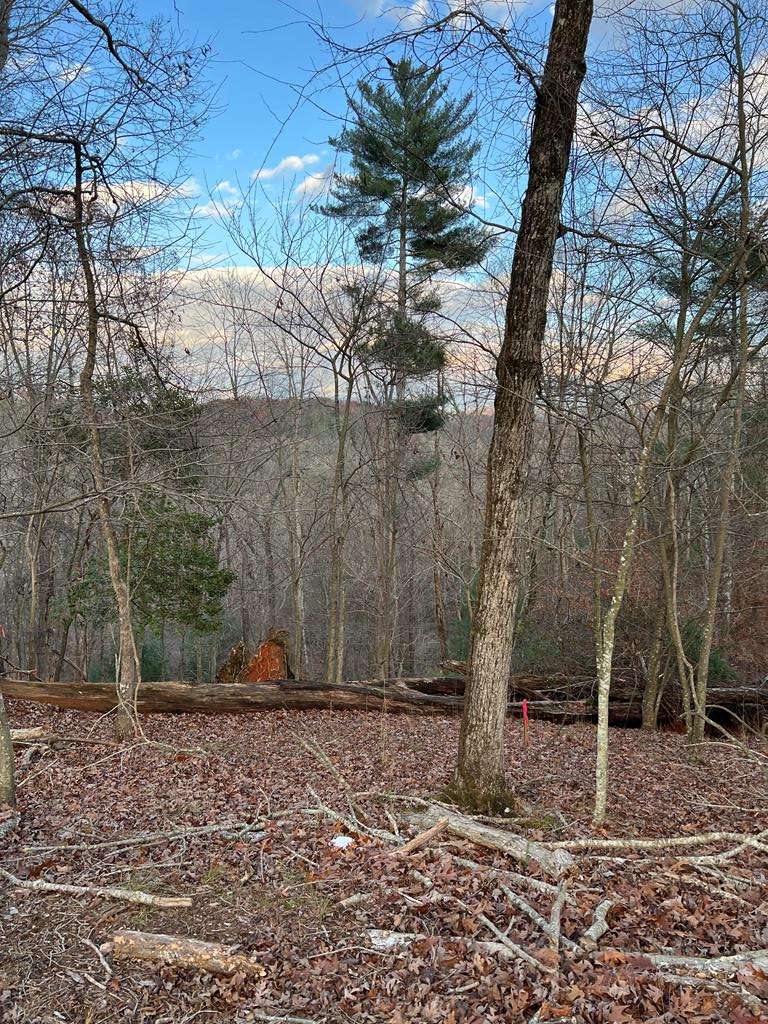 Ellijay, GA 30540,LOT 402 Crown Court