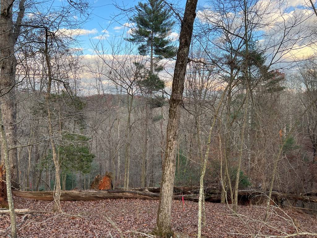 Ellijay, GA 30540,LOT 402 Crown Court