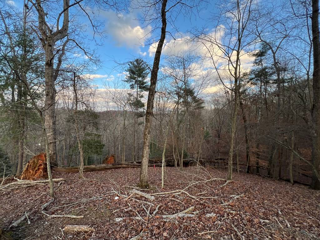 Ellijay, GA 30540,LOT 402 Crown Court