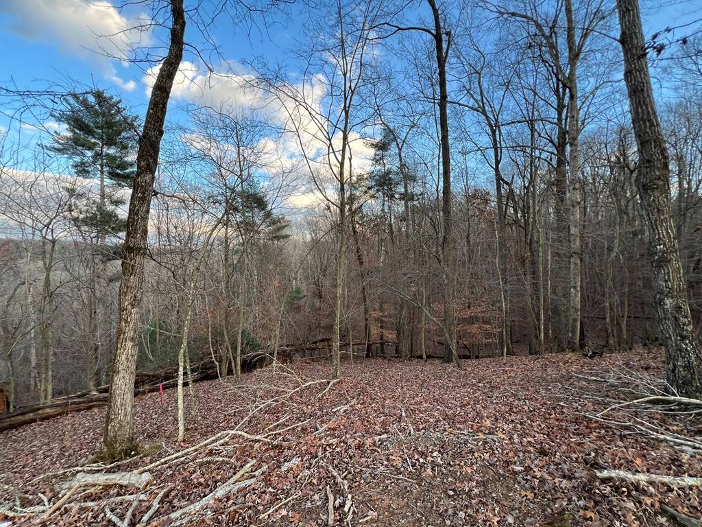 Ellijay, GA 30540,LOT 402 Crown Court