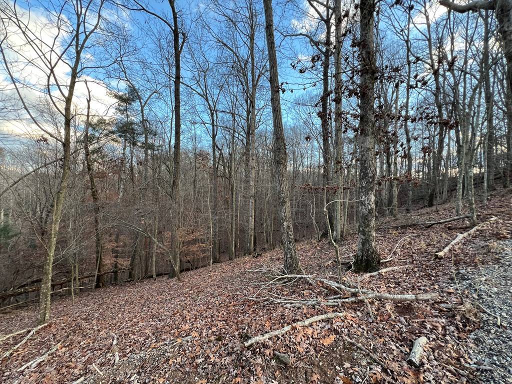 Ellijay, GA 30540,LOT 402 Crown Court