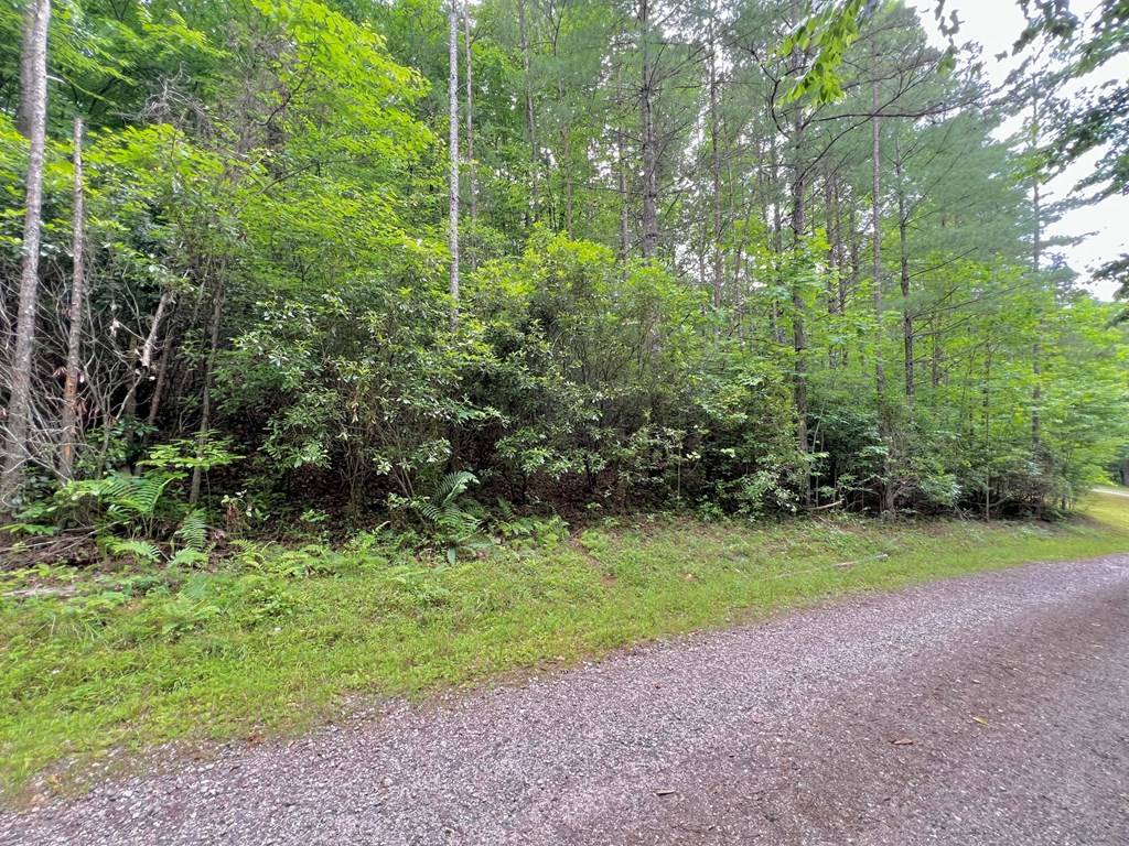 Blairsville, GA 30512,00 Emerald Pond Drive