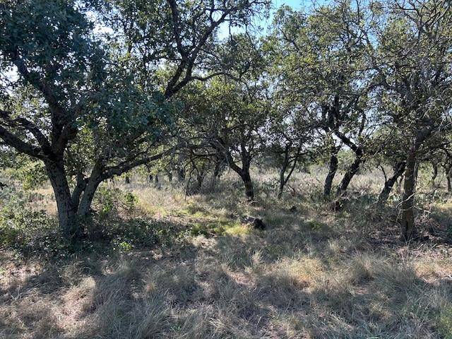 Richland Springs, TX 76871,TBD CR 204