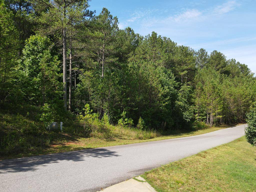 Blairsville, GA 30512,36 Loftis Mountain Way