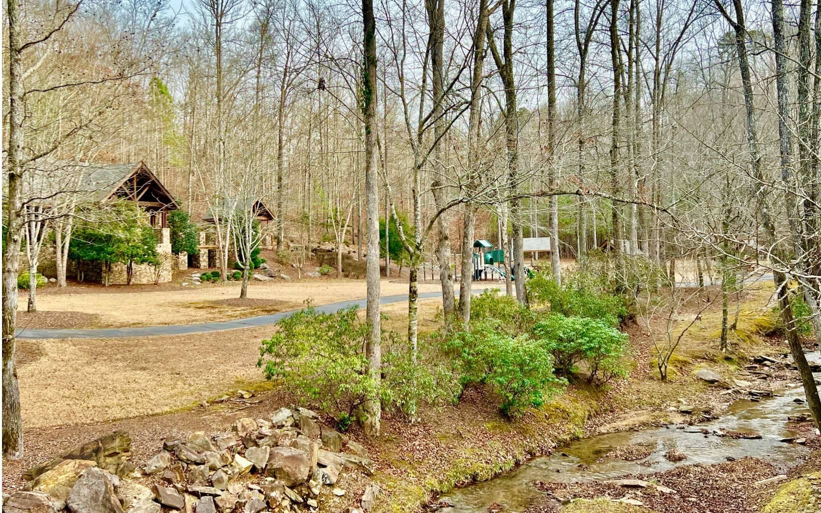 Ellijay, GA 30540,LT209 Harris Ridge Drive