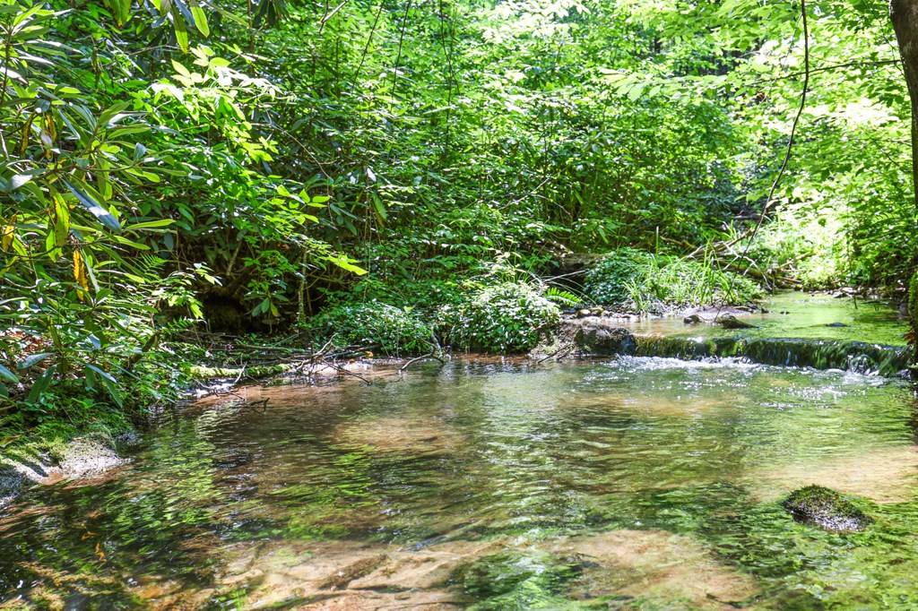 Cherry Log, GA 30522,3072 Stanley Creek Road