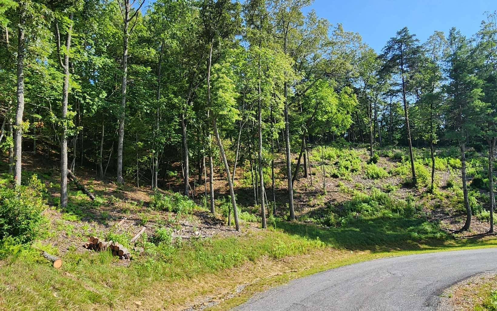 Mineral Bluff, GA 30559,LOT 6 Mountain Laurel Ridge