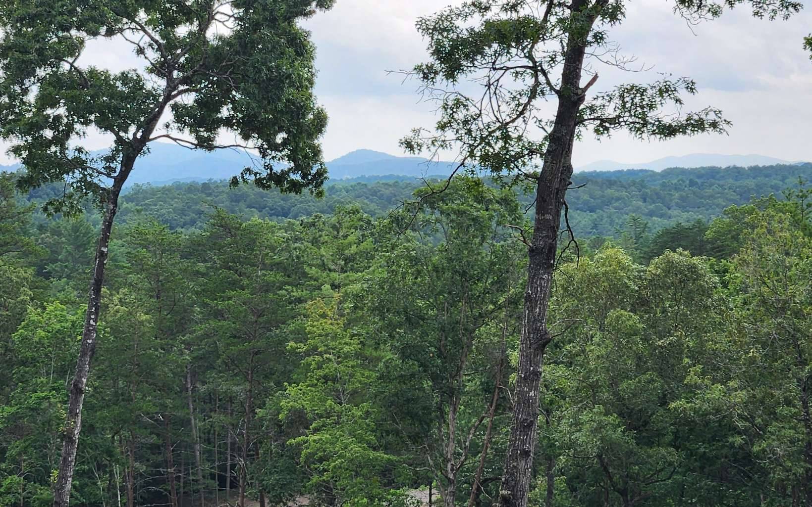 Mineral Bluff, GA 30559,LOT 6 Mountain Laurel Ridge