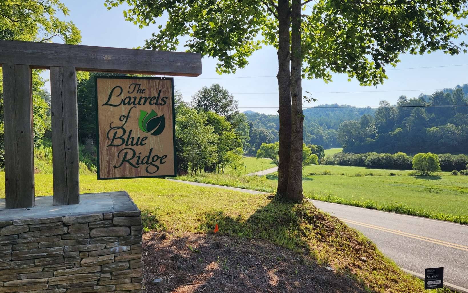 Mineral Bluff, GA 30559,LOT 6 Mountain Laurel Ridge