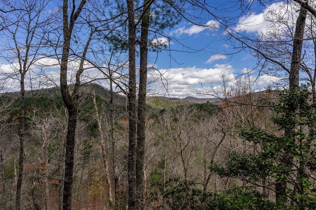 Blue Ridge, GA 30513,259 Toccoa Overlook