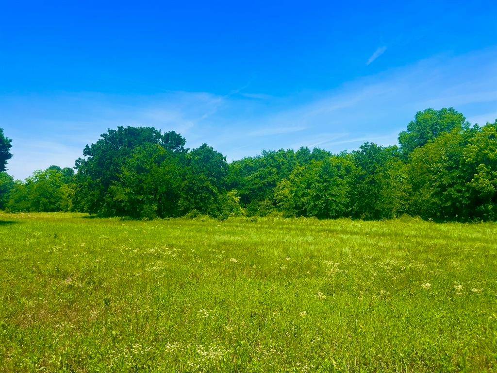 Poolville, TX 76487,Lot 103 Arlow Rd