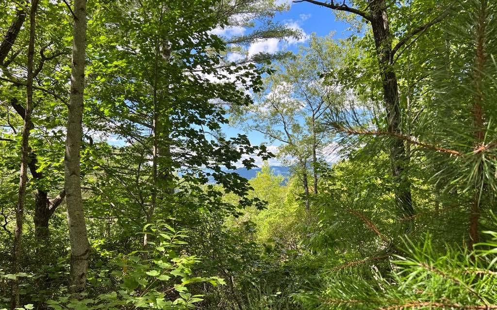 Hiawassee, GA 30546,Lot 2 Laurel Ridge