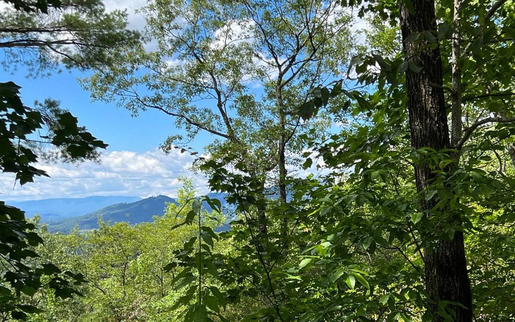 Hiawassee, GA 30546,Lot 2 Laurel Ridge