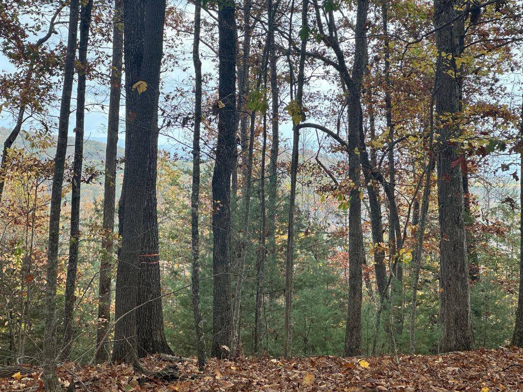 Blairsville, GA 30512,2.98-ac Hedgecock Road