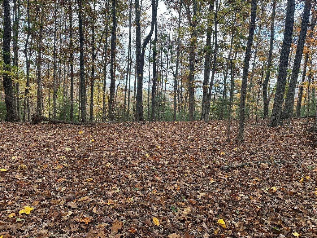 Blairsville, GA 30512,2.98-ac Hedgecock Road