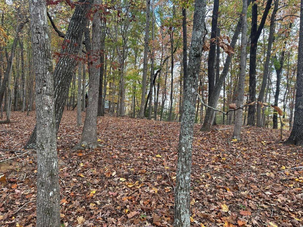 Blairsville, GA 30512,2.98-ac Hedgecock Road