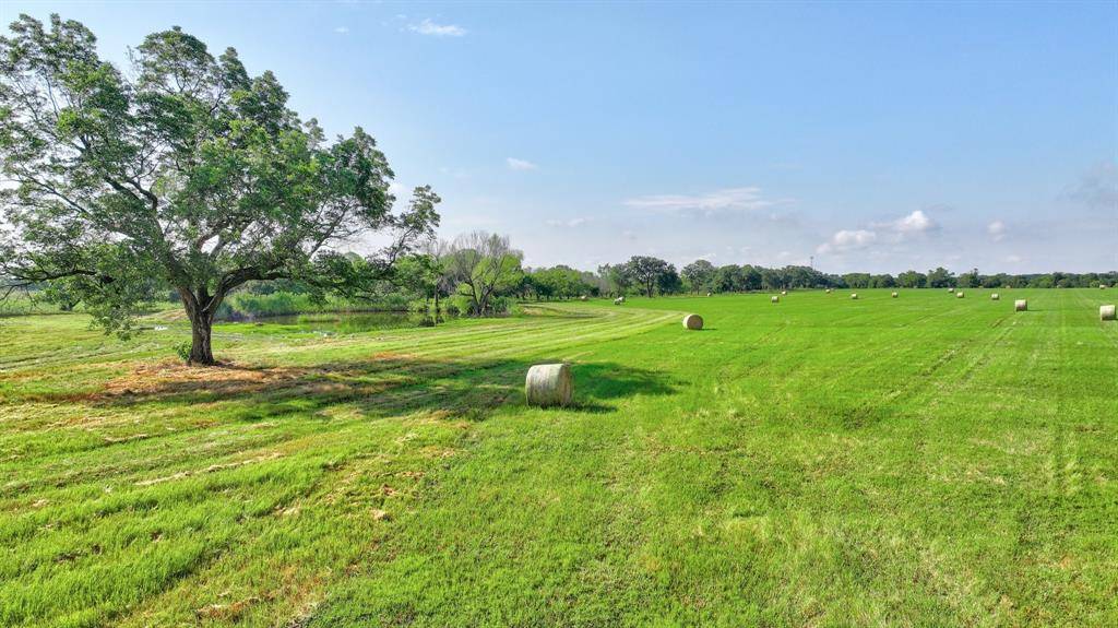 Millsap, TX 76066,805 Stephens Road #50 Acres