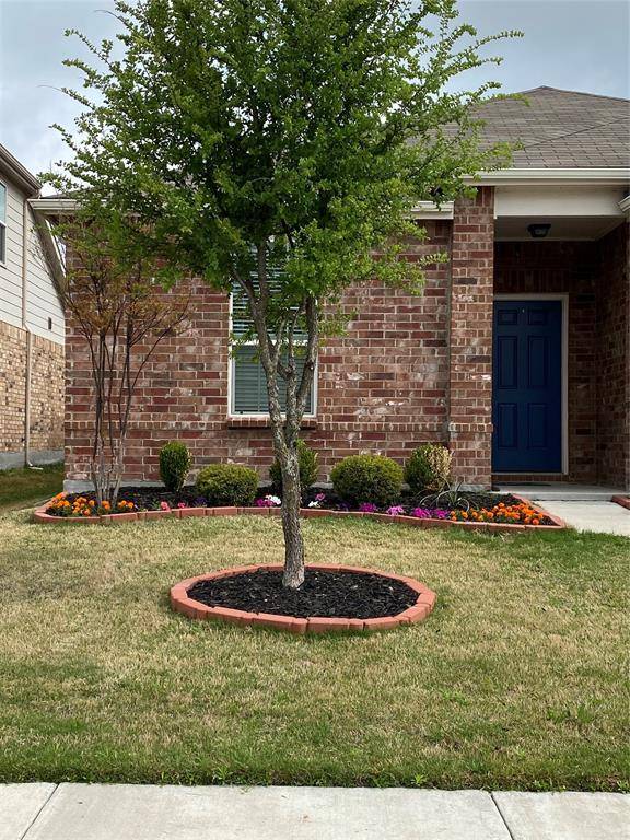 Little Elm, TX 75068,3129 Walker Creek Drive