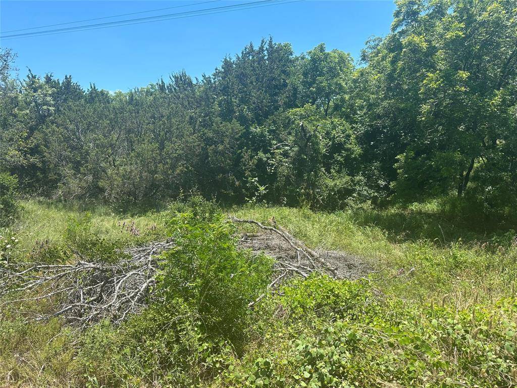 Bluff Dale, TX 76433,TBD Peninsula Drive