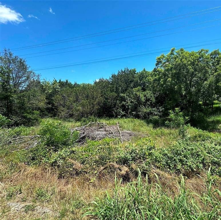 Bluff Dale, TX 76433,TBD Peninsula Drive