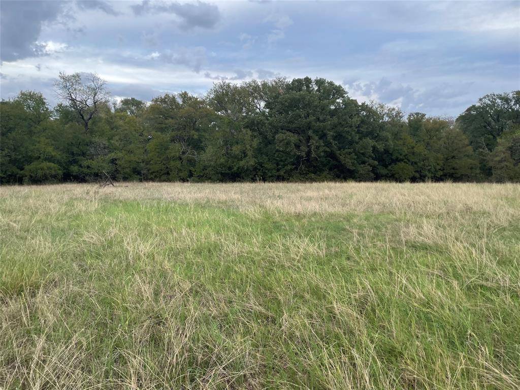 Mingus, TX 76453,Tbd Beardn Lane