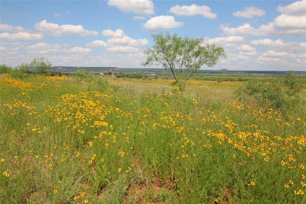 Tuscola, TX 79562,Lot 10 Marshal Trail