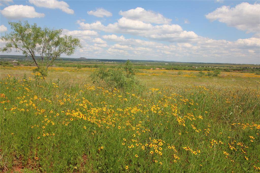 Tuscola, TX 79562,Lot 10 Marshal Trail