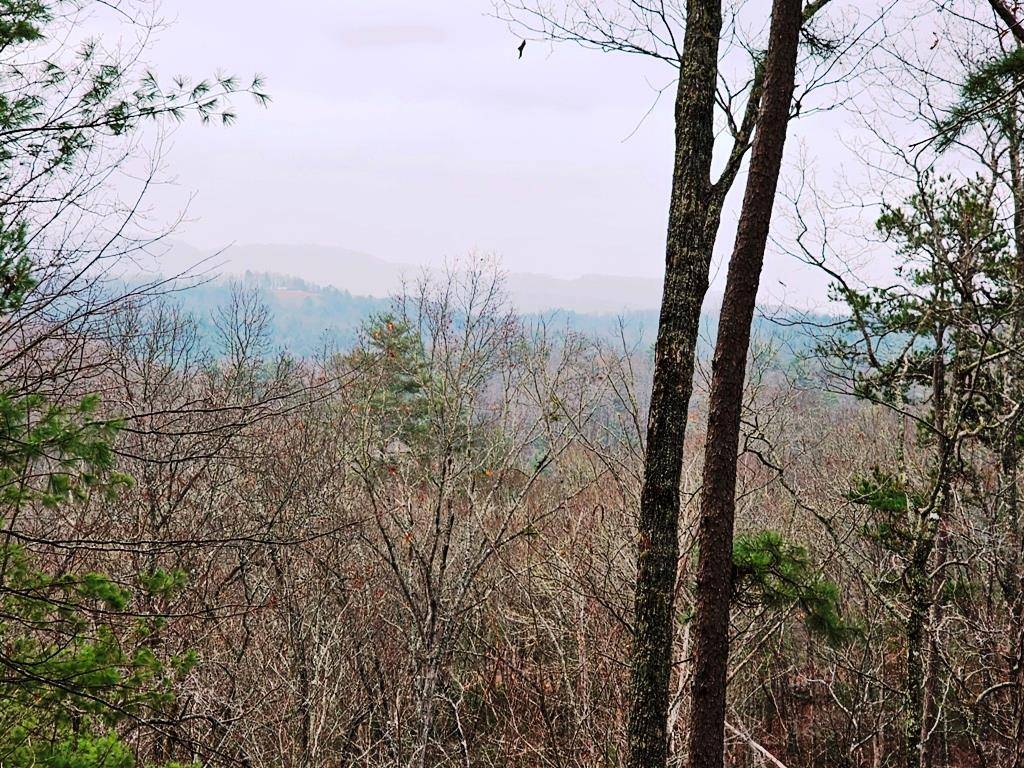 Murphy, NC 28906,Lot 48 Wayah Ridge