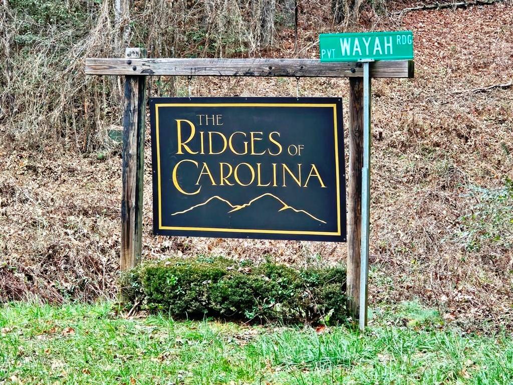 Murphy, NC 28906,Lot 48 Wayah Ridge