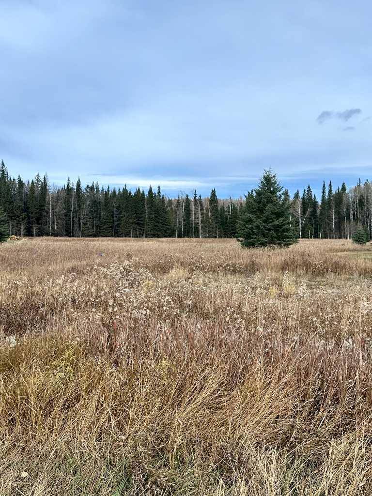 Rural Clearwater County, AB T0M1C0,120 James River LNDG #Lot 35