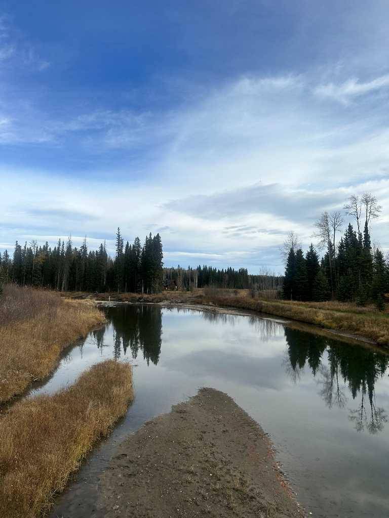 Rural Clearwater County, AB T0M1C0,120 James River LNDG #Lot 35