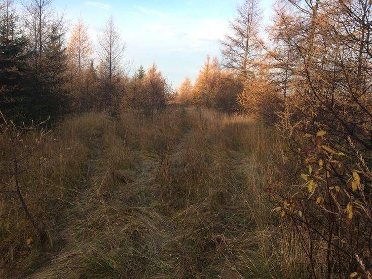 Mattice-val Cote, ON P0L 1T0,PART 1 LOT 28 SHALLOW LAKE  (CON 5) RD