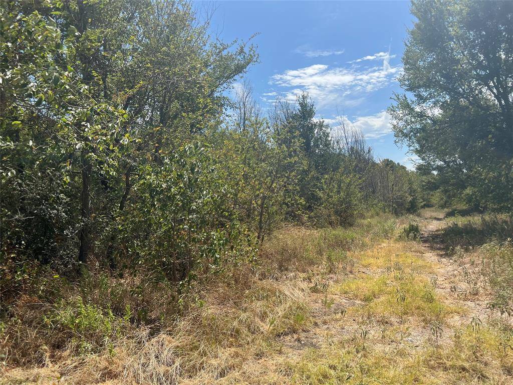 Trinidad, TX 75163,Lot 74 Raven Wood Drive