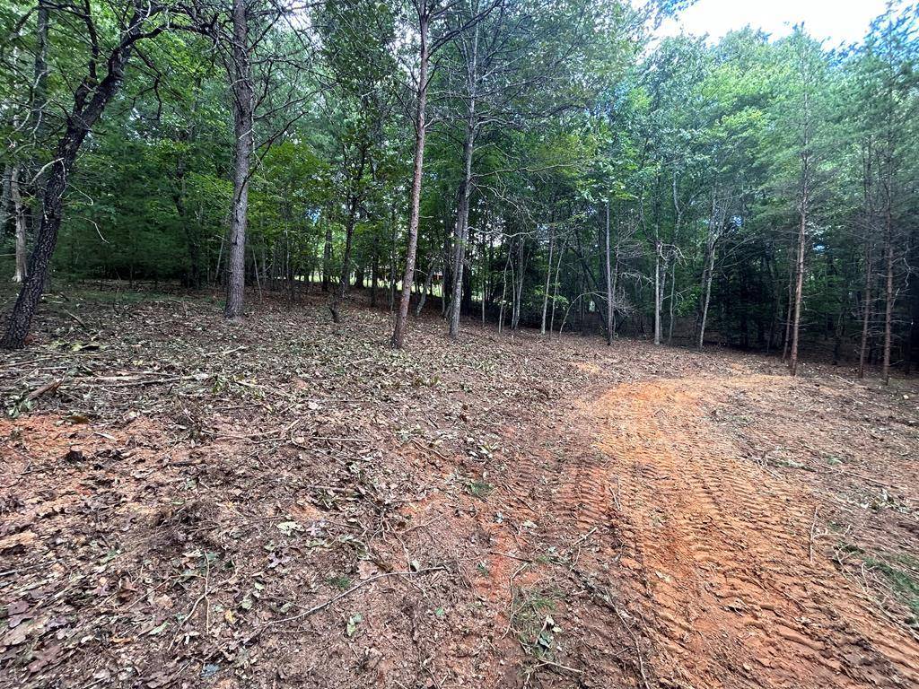 Blairsville, GA 30512,Lot 4 Maple Way