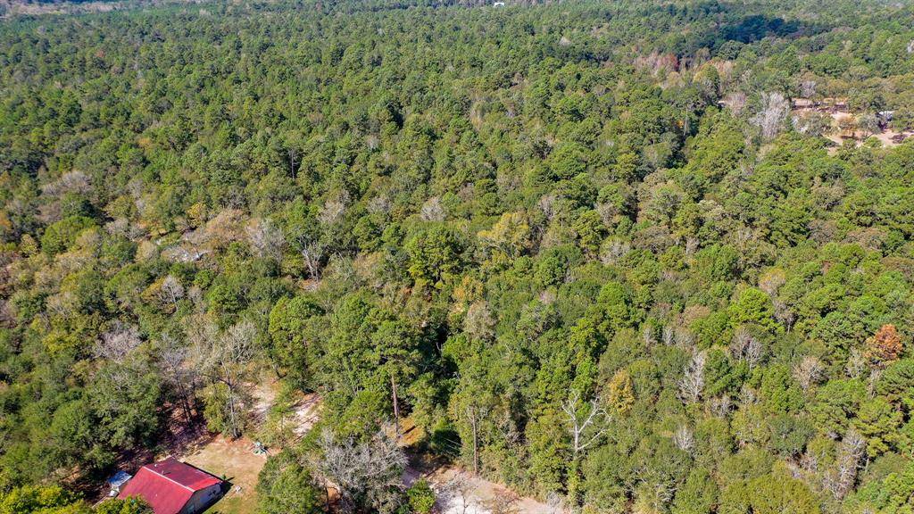 Huntsville, TX 77340,TBD 1.8 Ac Gourd Creek Drive