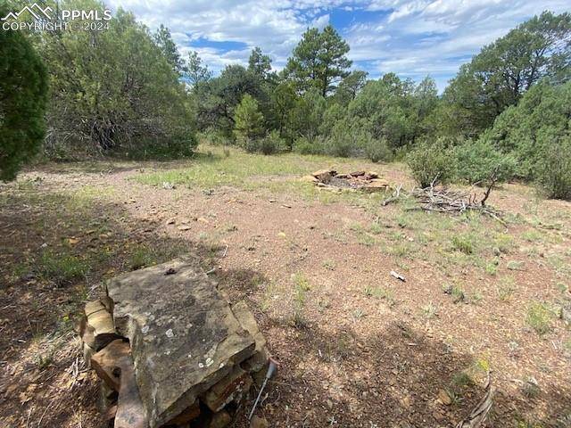 Trinidad, CO 81082,Unknown