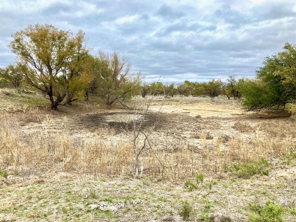 Moran, TX 76464,25AC Tract 3 Hwy 6