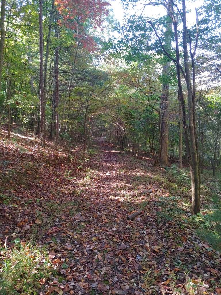 Mineral Bluff, GA 30559,0 Kaleb Trail