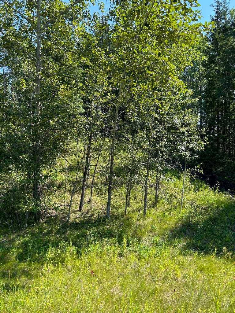 Rural Woodlands County, AB T7S 1P8,LOT R3 WESTRIDGE ROAD