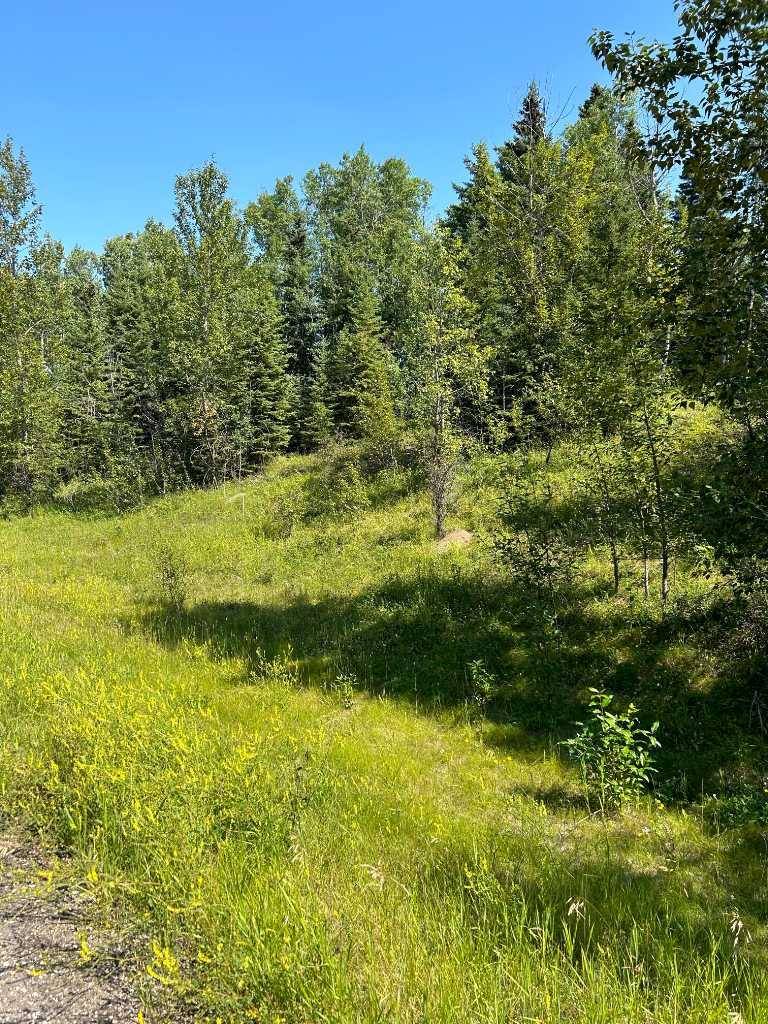 Rural Woodlands County, AB T7S 1P8,LOT R3 WESTRIDGE ROAD