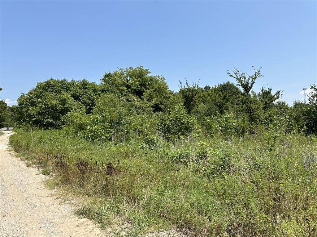 Wills Point, TX 75169,Lot 430 TBD private Road 7028