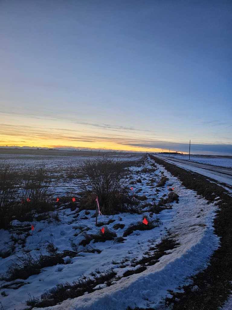 Rural Rocky View County, AB T1X 0H7,W4; R28;T22;S34;SW