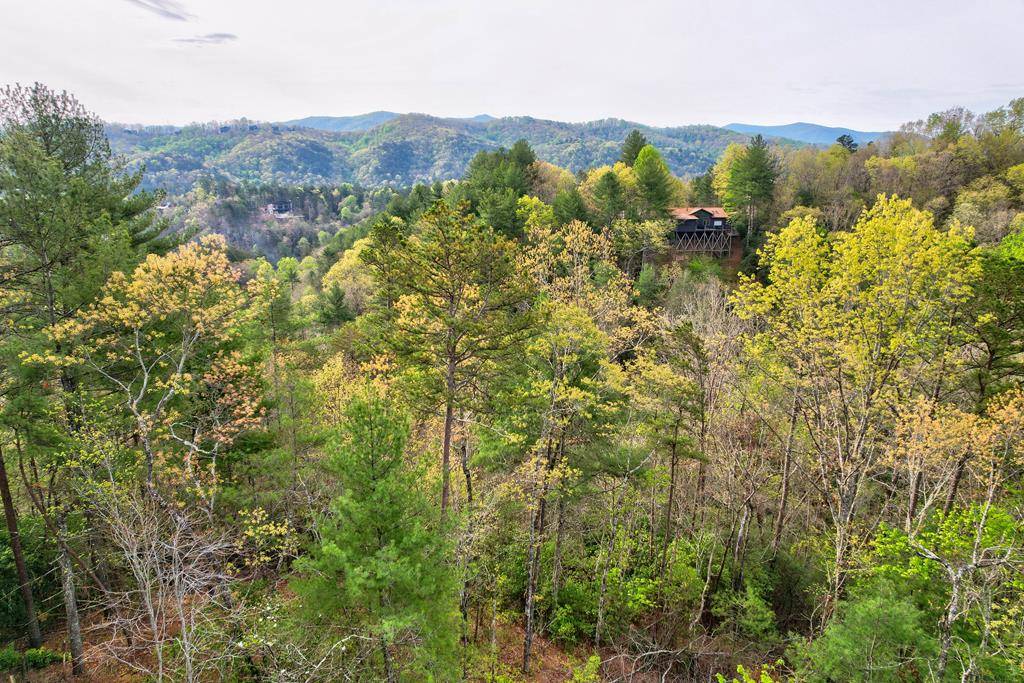 Blue Ridge, GA 30513,Lot 53 Community Hill Drive