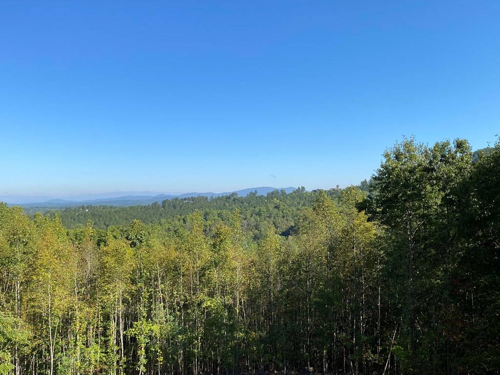 Blairsville, GA 30512,Lot 201 Lola Drive